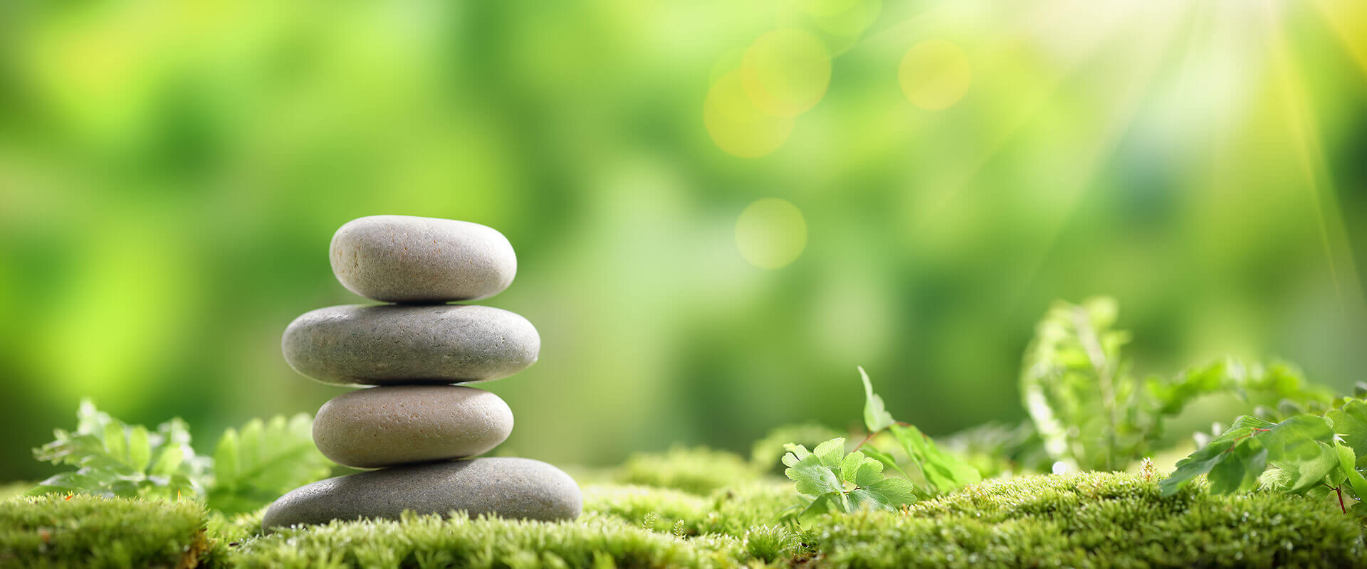 Scheduling/Payment Scheduling/Payment